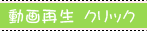動画再生