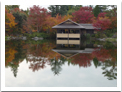 （立川・昭島）国営昭和記念公園の日本庭園と盆栽鑑賞_02