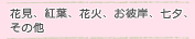 花見、紅葉、花火、お彼岸、七夕、その他