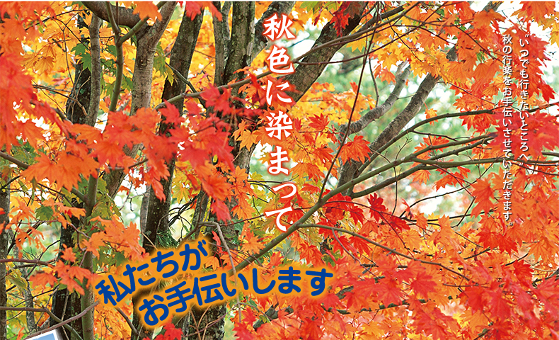 秋のイベント